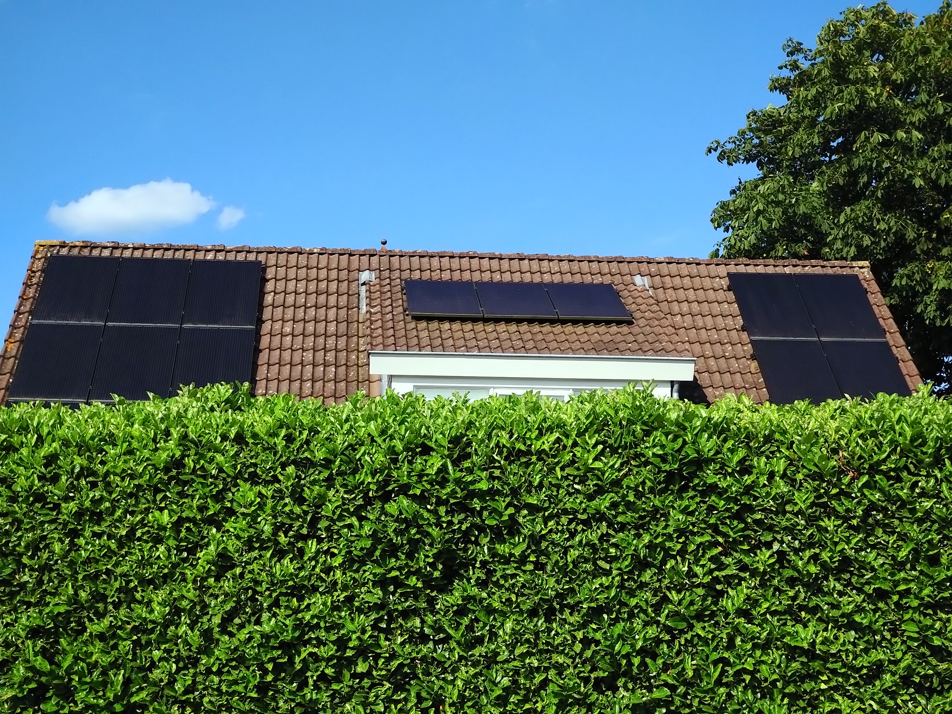 full black zonnepanelen