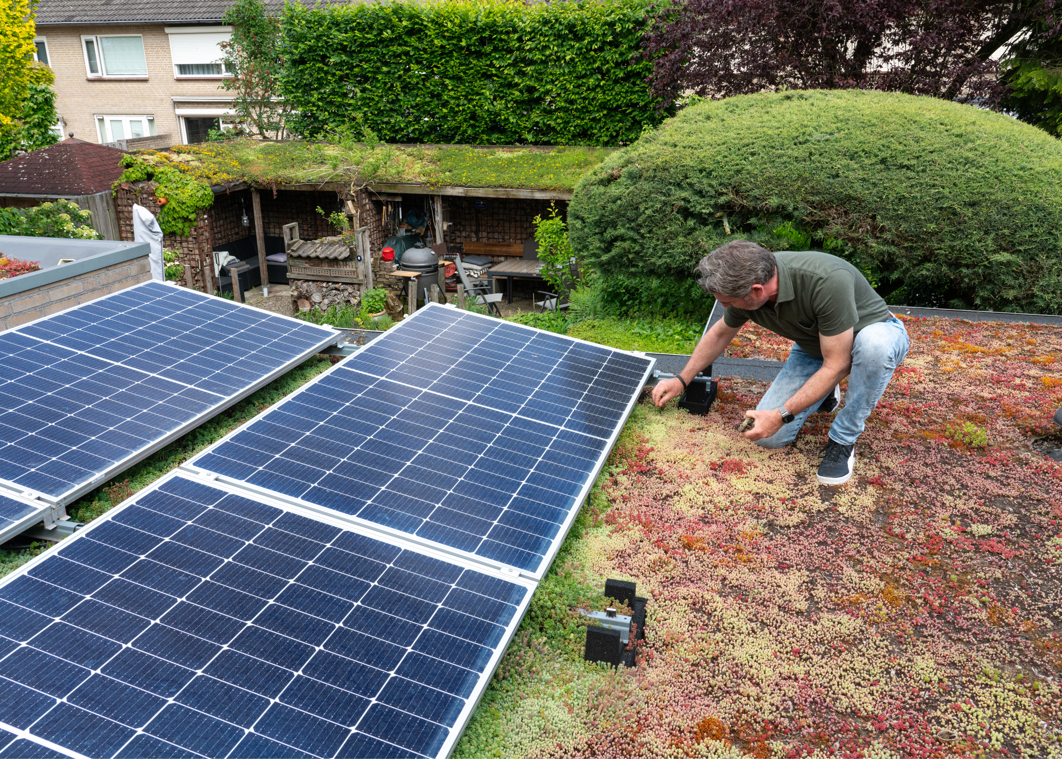 Zonnepanelen op groen dak
