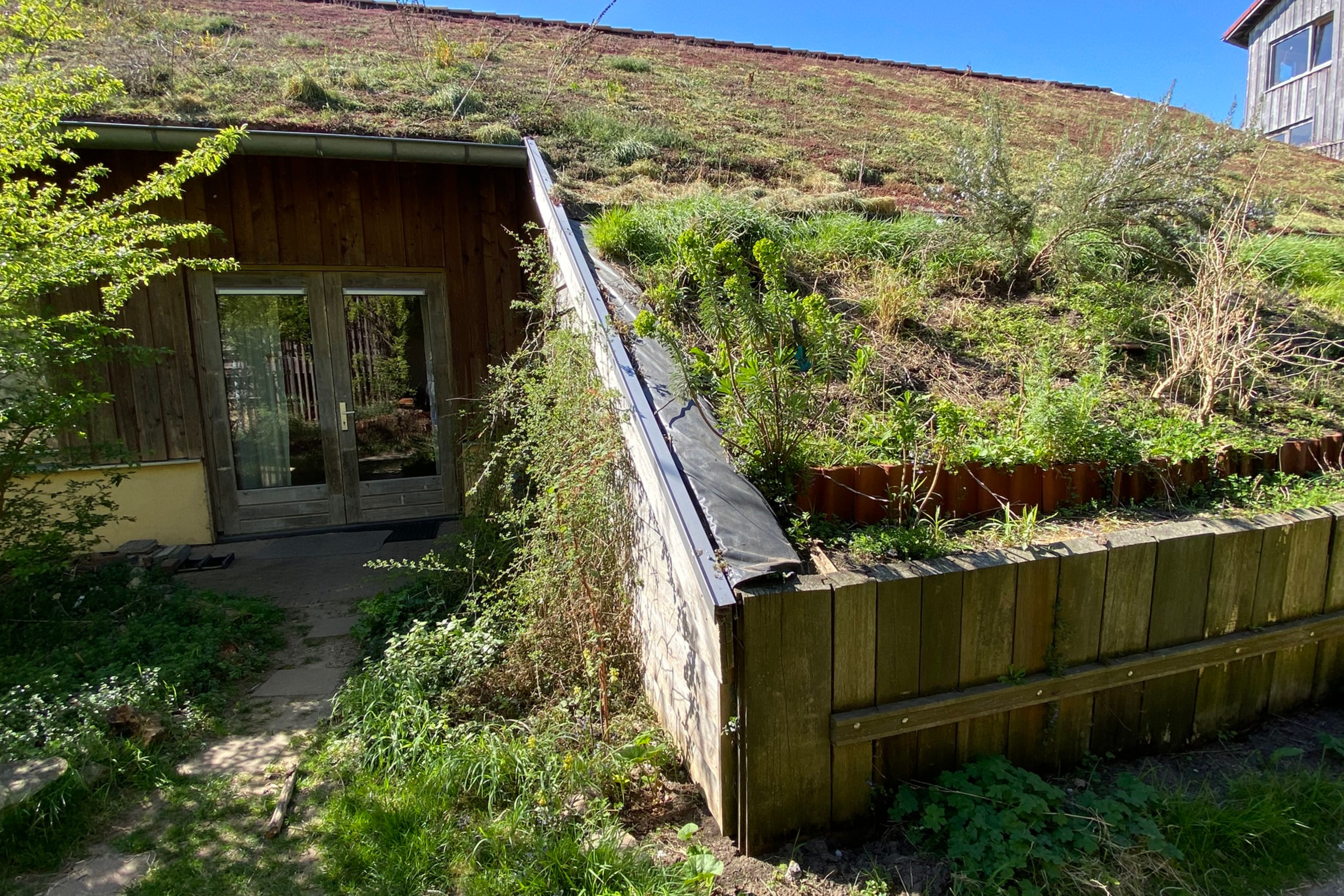 Foto van een schuin groen dak