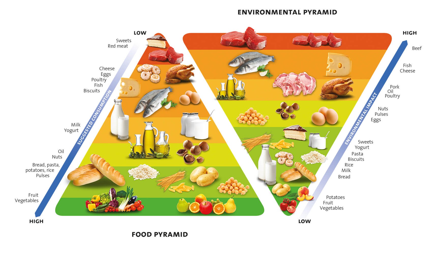 Food Pyramid Barilla Center for Food & Nutrion (2015)