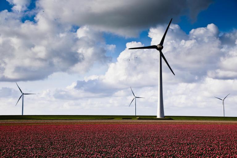 Windmolens | Photo by Aniek Wessel on Unsplash