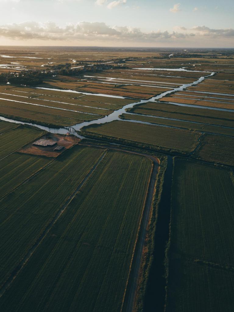 Foto veengebied Nederland 