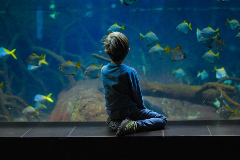 Kind bij aquarium