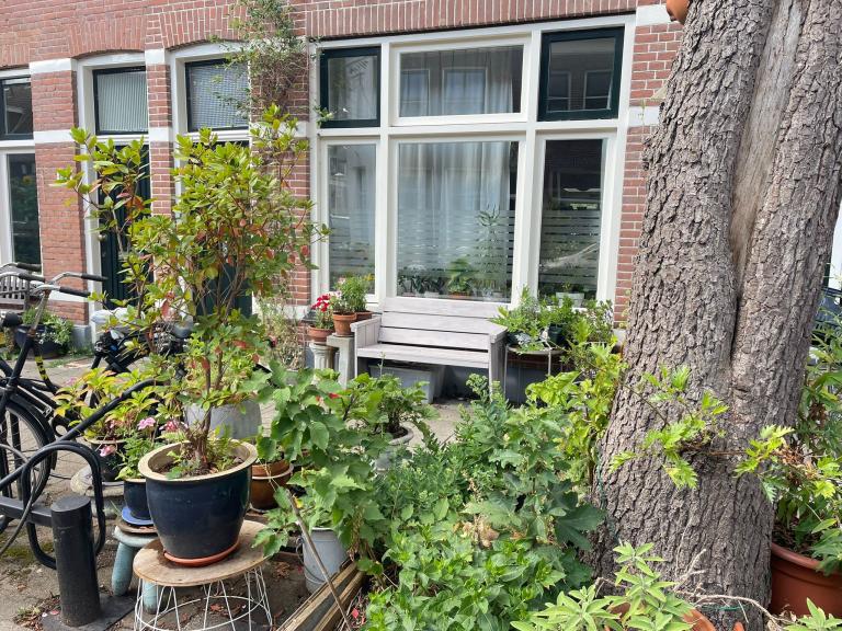 Geveltuintje en gemeente perkje